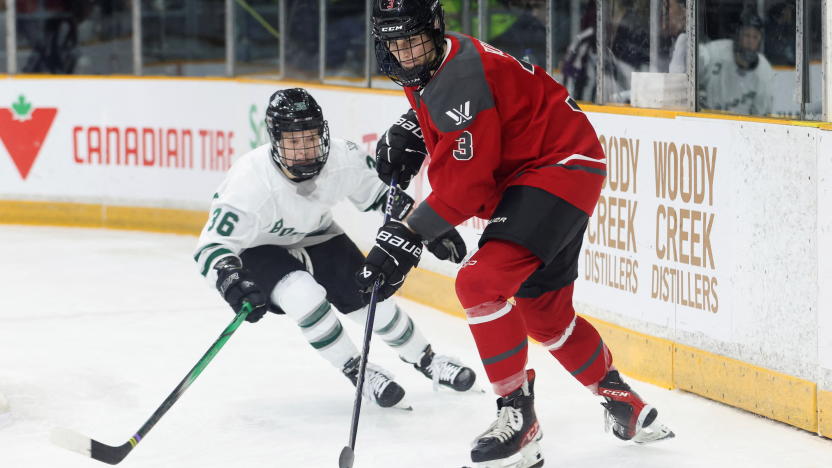 Ottawa's Zoe Boyd and Boston's Loren Gabel of the Professional Women's Hockey League (PWHL) struggle for the puck during first period action in Ottawa, Ontario, Canada January 24, 2024. REUTERS/Patrick Doyle